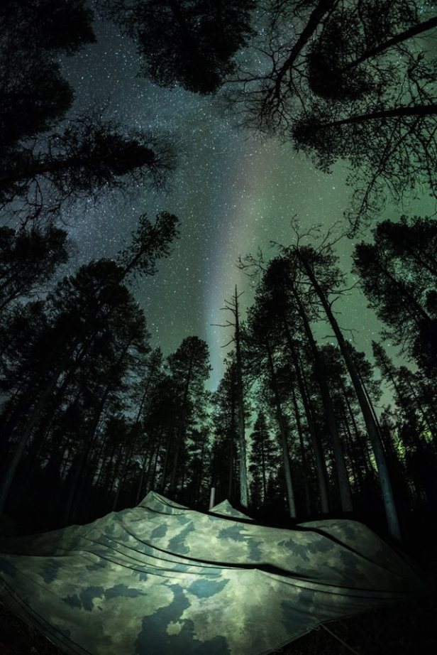 44211369_393780277827084_5968960726948118528_n